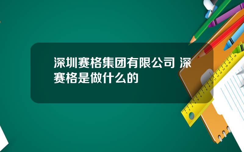 深圳赛格集团有限公司 深赛格是做什么的